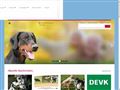 VDH Verband für das deutsche Hundwesen